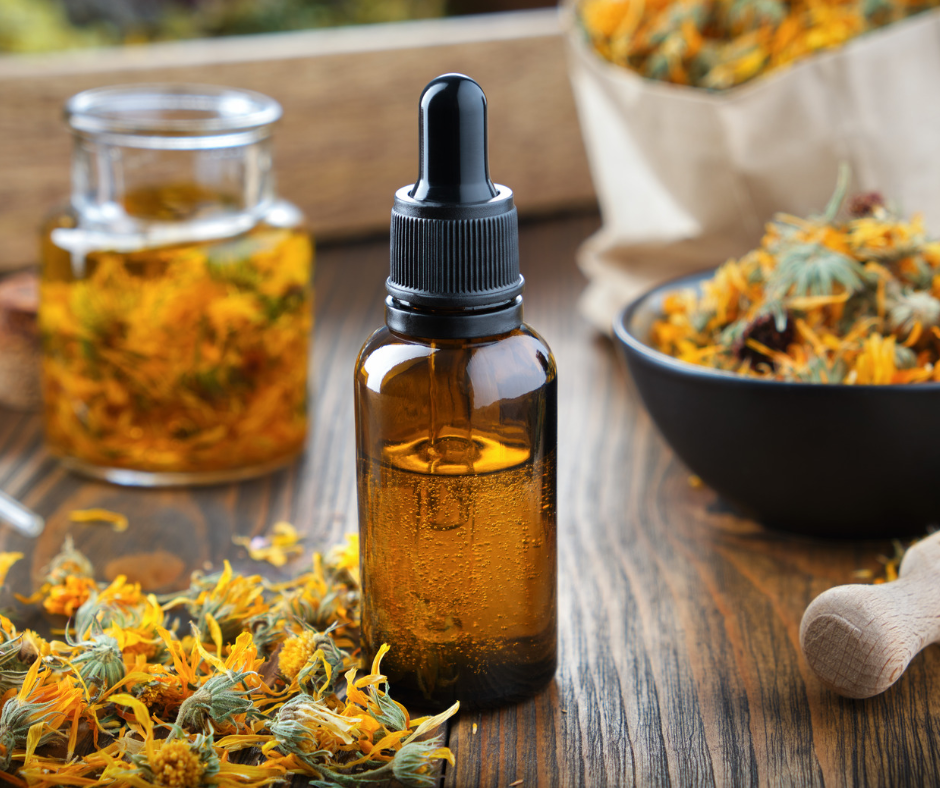 Small animal naturopath Consult